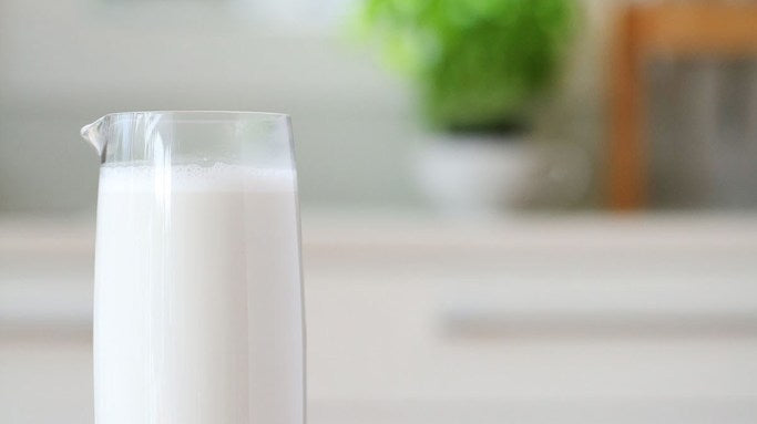 Sunflower Coconut Milk