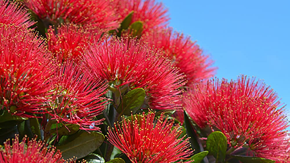 How to be Sustainable in the Silly Season: 5 top tips from the LETE team