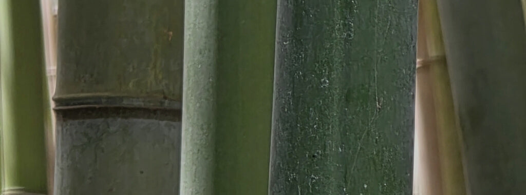 Is my bamboo activewear sustainable?