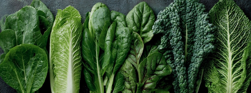 Go organic & eat more plants, your body & backyard will thank you for it